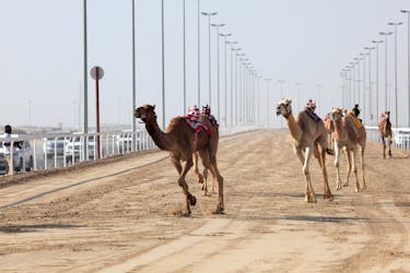 Zekreet e Richard Serra tour con corse di cammelli da Doha